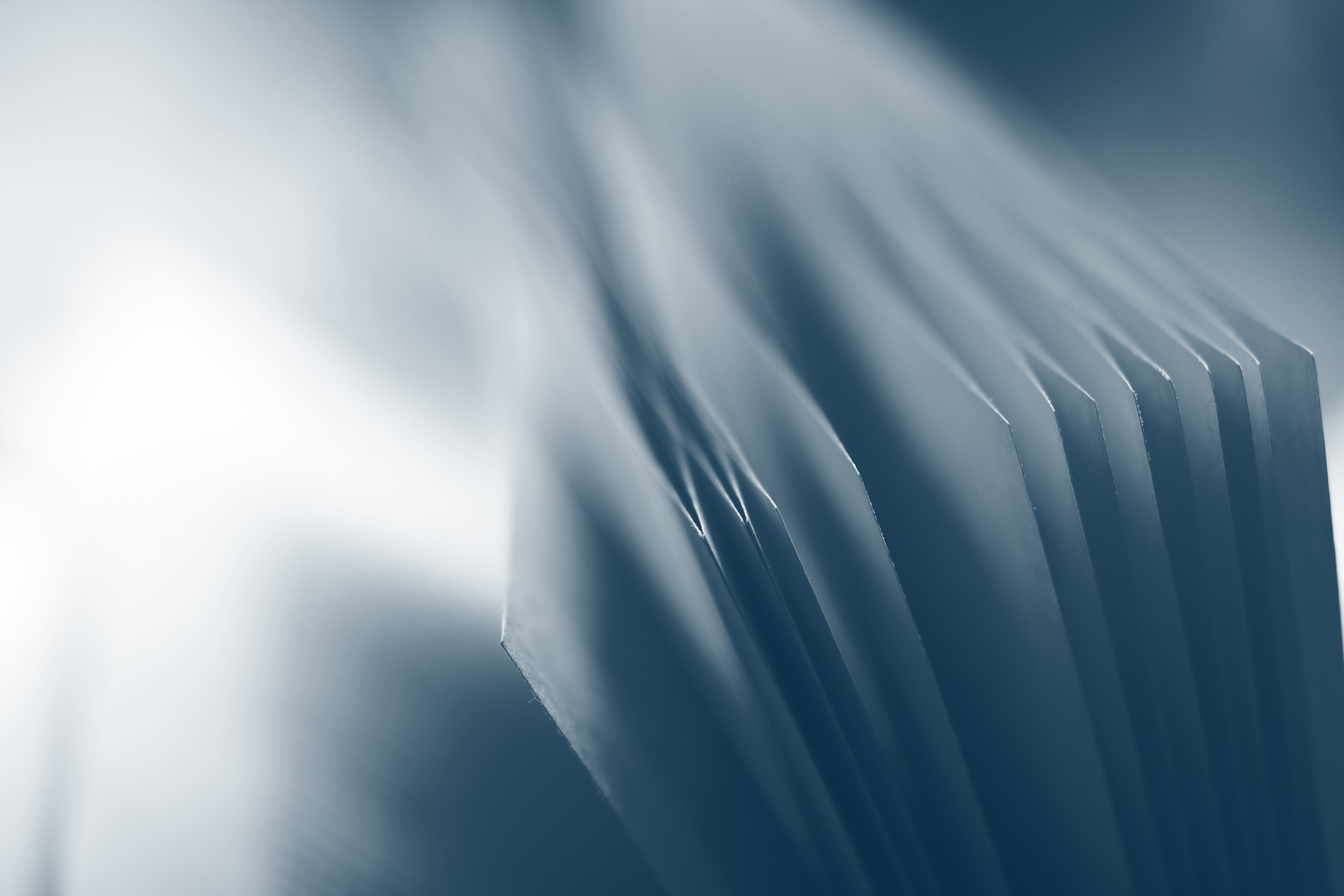 Image related to Nothing but the Truth - Oct 2013